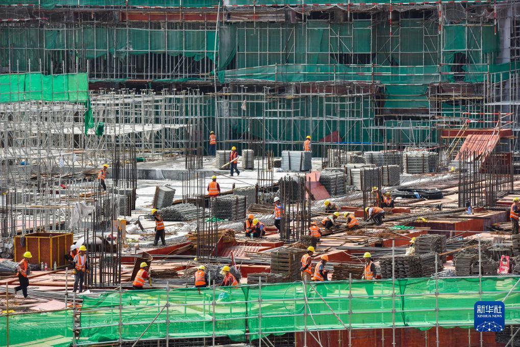 五龙争霸在线下载